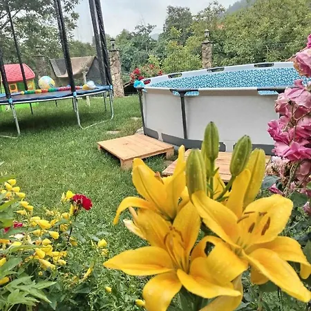 Country house Temacki Konaci *