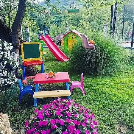 Temacki Konaci Country house Pirot