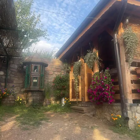 Temacki Konaci