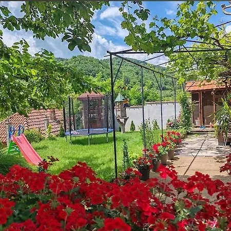 Temacki Konaci * Pirot