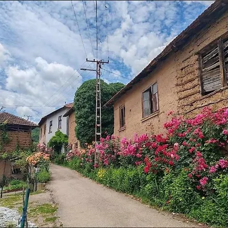 Country house Temacki Konaci Pirot