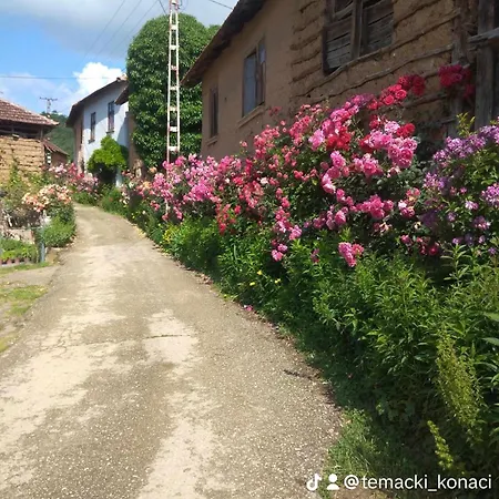 Temacki Konaci Country house