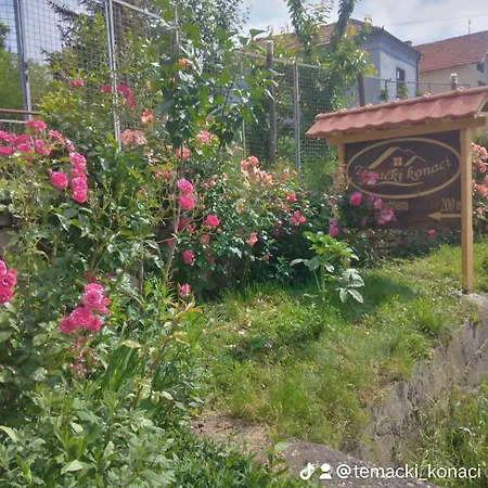 Temacki Konaci Country house Pirot