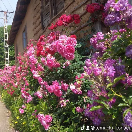 Country house Temacki Konaci Pirot