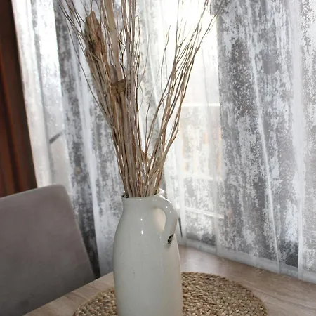 Country house Temacki Konaci Pirot