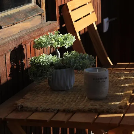 Temacki Konaci Country house Pirot